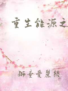 重生能源之王
