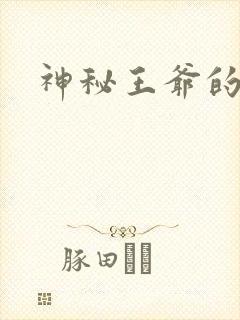 神秘王爷的逃妃