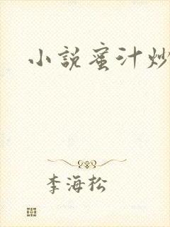 小说蜜汁炒鱿鱼