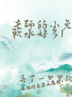 老师的小兔子好软水好多l