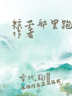 粽子哪里跑小说作者