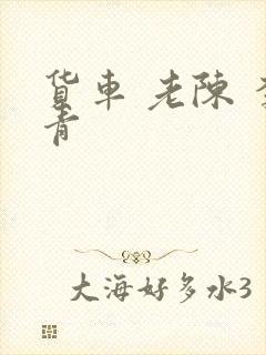 货车 老陈 李青