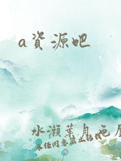 a资源吧