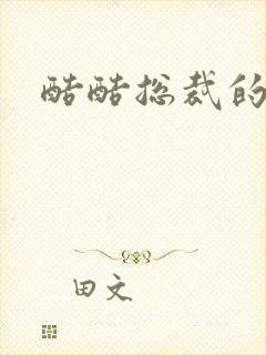 酷酷总裁的情人