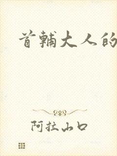 首辅大人的套路