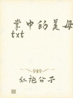 掌中的美母版主txt