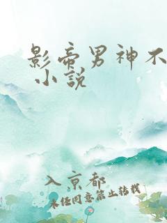 影帝男神不节制 小说