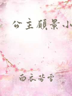 公主愿景小说
