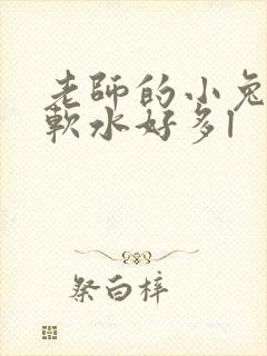 老师的小兔子好软水好多l