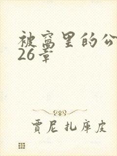 被窝里的公憩第26章