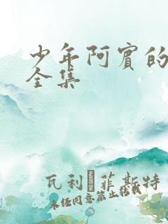 少年阿宾的故事全集