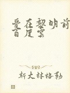 爱在黎明前降落百度云