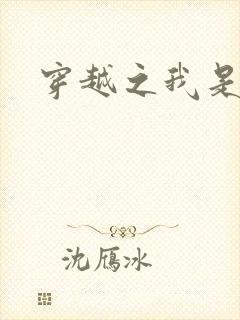 穿越之我是华筝