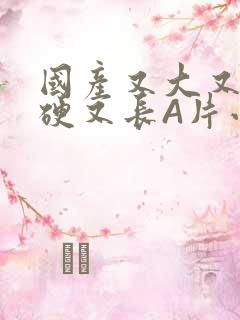 国产又大又粗又硬又长A片小说