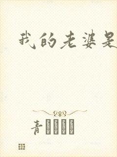 我的老婆是火影