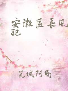 安徽区长风流日记