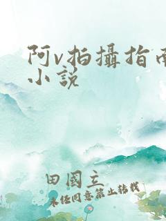 阿v拍摄指南说小说