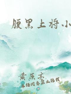 腹黑上将小小妻