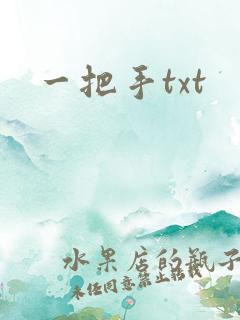 一把手txt