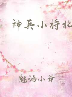 神兵小将北冥雪