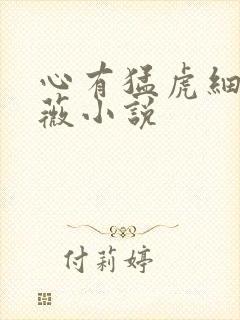 心有猛虎细嗅蔷薇小说