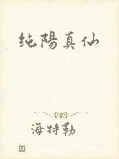 纯阳真仙