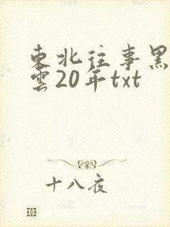 东北往事黑道风云20年txt
