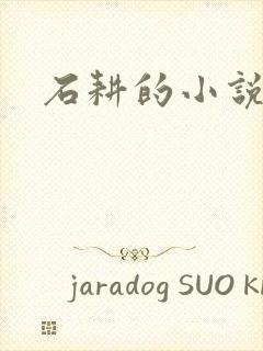 石耕的小说