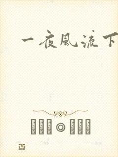 一夜风流下载