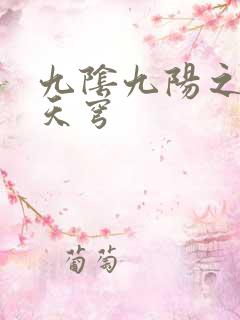 九阴九阳之武战天穹