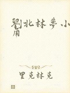 刘北林梦小说主角