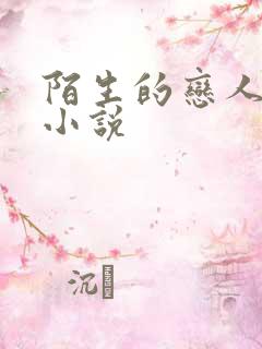 陌生的恋人原著小说