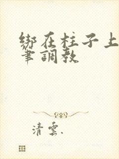 绑在柱子上用毛笔调教