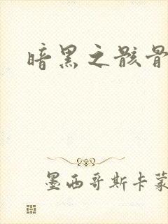 暗黑之骸骨君王