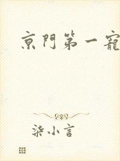 京门第一宠