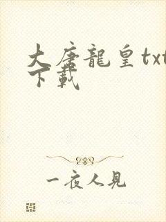 大唐龙皇txt下载