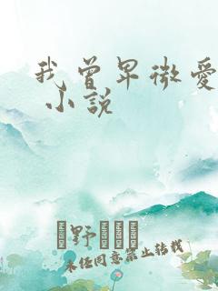 我曾卑微爱过你 小说