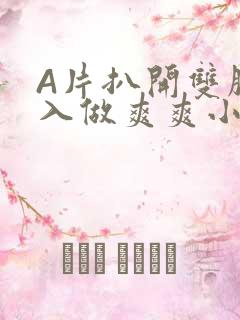 A片扒开双腿进入做爽爽小说