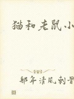 猫和老鼠小说