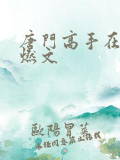 唐门高手在异世燃文