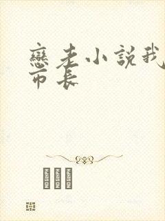 恋老小说我和老市长