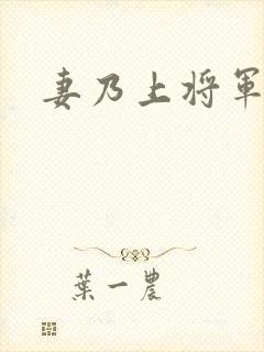 妻乃上将军下载