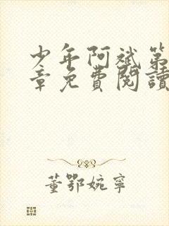 少年阿斌第13章免费阅读