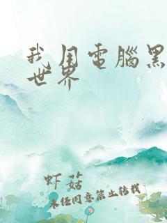 我用电脑黑了全世界