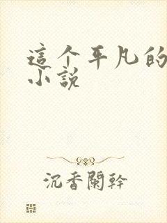 这个平凡的男子小说