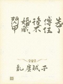 闪婚后傅先生马甲藏不住了免费阅读