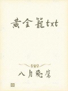 黄金笼txt