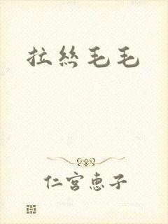 拉丝毛毛