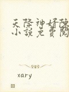 天降神婿陈黄皮小说免费阅读