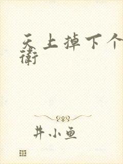 天上掉下个影卫卫